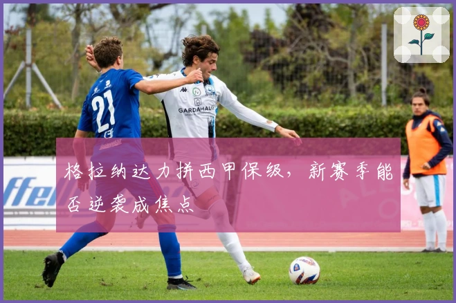 格拉纳达力拼西甲保级，新赛季能否逆袭成焦点