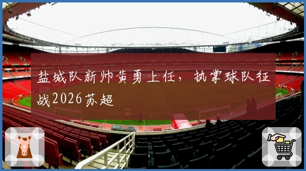 盐城队新帅黄勇上任，执掌球队征战2026苏超