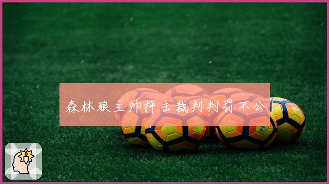 森林狼主帅抨击裁判判罚不公