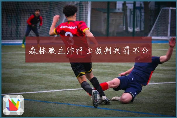 森林狼主帅抨击裁判判罚不公